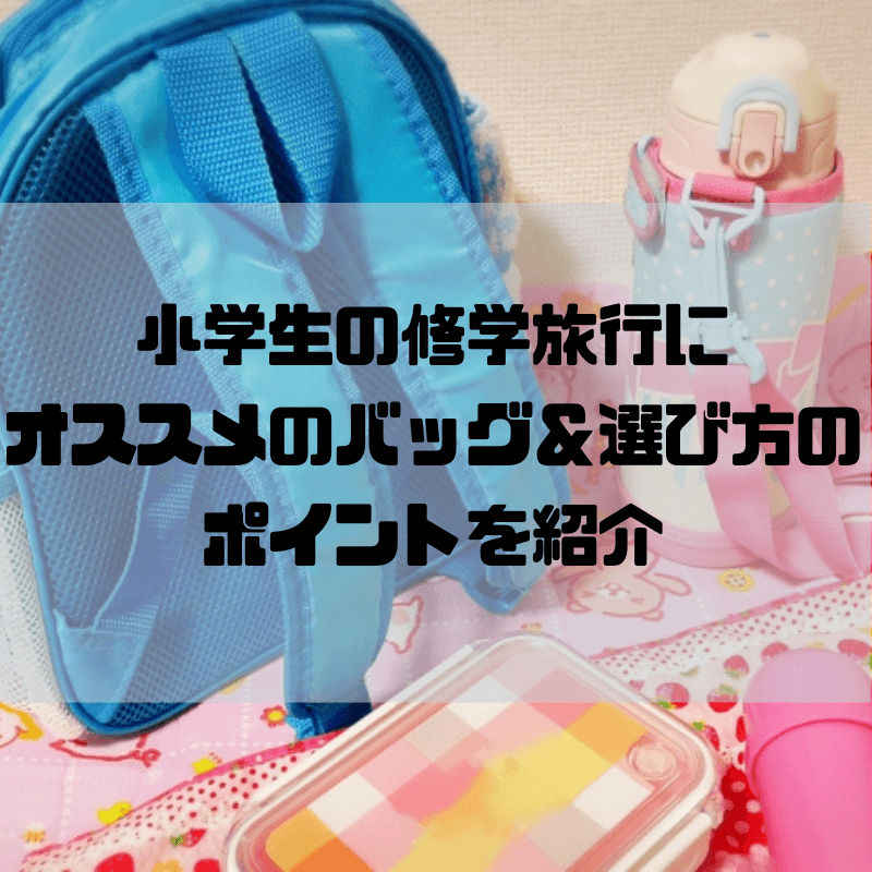 小学生の林間学校 修学旅行のバッグにオススメのバッグ 選び方のポイントを紹介 京都で理系的こそだて