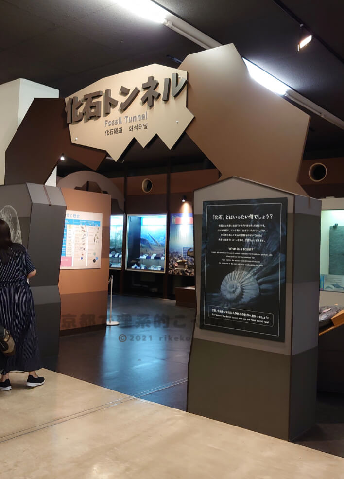 京都市科学センター化石トンネル