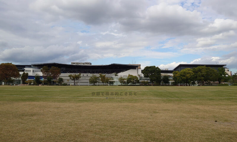 梅小路公園の芝生広場と京都水族館