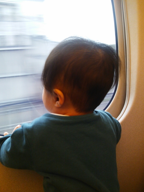 新幹線の車窓を楽しむ赤ちゃん